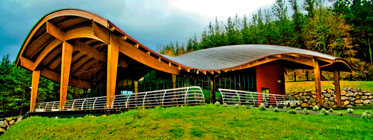 La sinuosa cubierta, en forma de teja, de la bodega de txakoli Talleri