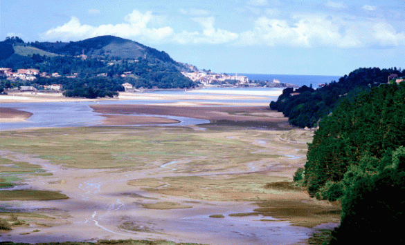 Vista de Urdaibai