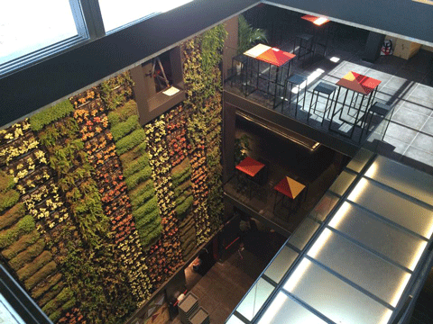 El jardín vertical del mercado, visto desde arriba