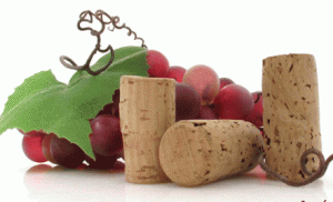 Uvas y corchos de botellas de vino