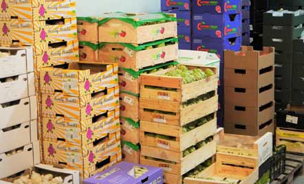 Cajas de frutas y verduras en el almacén de +Bio