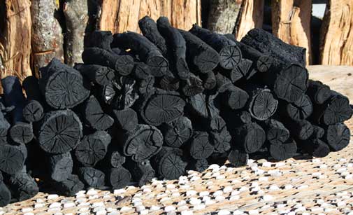 Carbón vegetal natural de leña de encina de Todobrasa