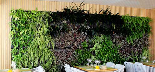Jardín vertical interior de Air Garden en el restaurante Abbaco de Palma de Mallorca