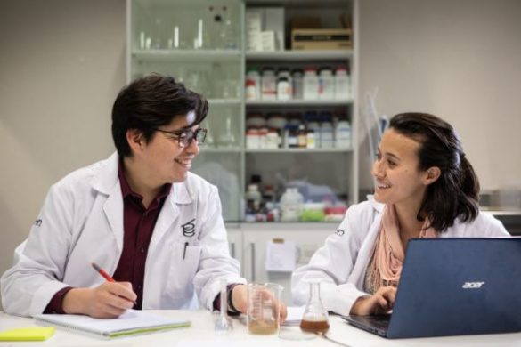 profesionalhoreca Doctorado en Ciencias Gastronomicas